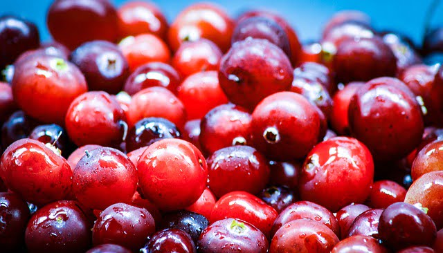 Turna (Cranberry) Yemişinin Faydaları 1