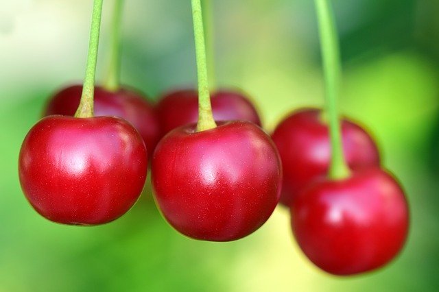 Beneficiile Cherry 1