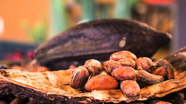 Quali sono i vantaggi del burro di cacao? 1