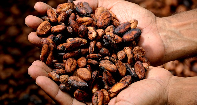 Rozpieszczaj swoją skórę rewitalizującymi korzyściami masła kakaowego 1